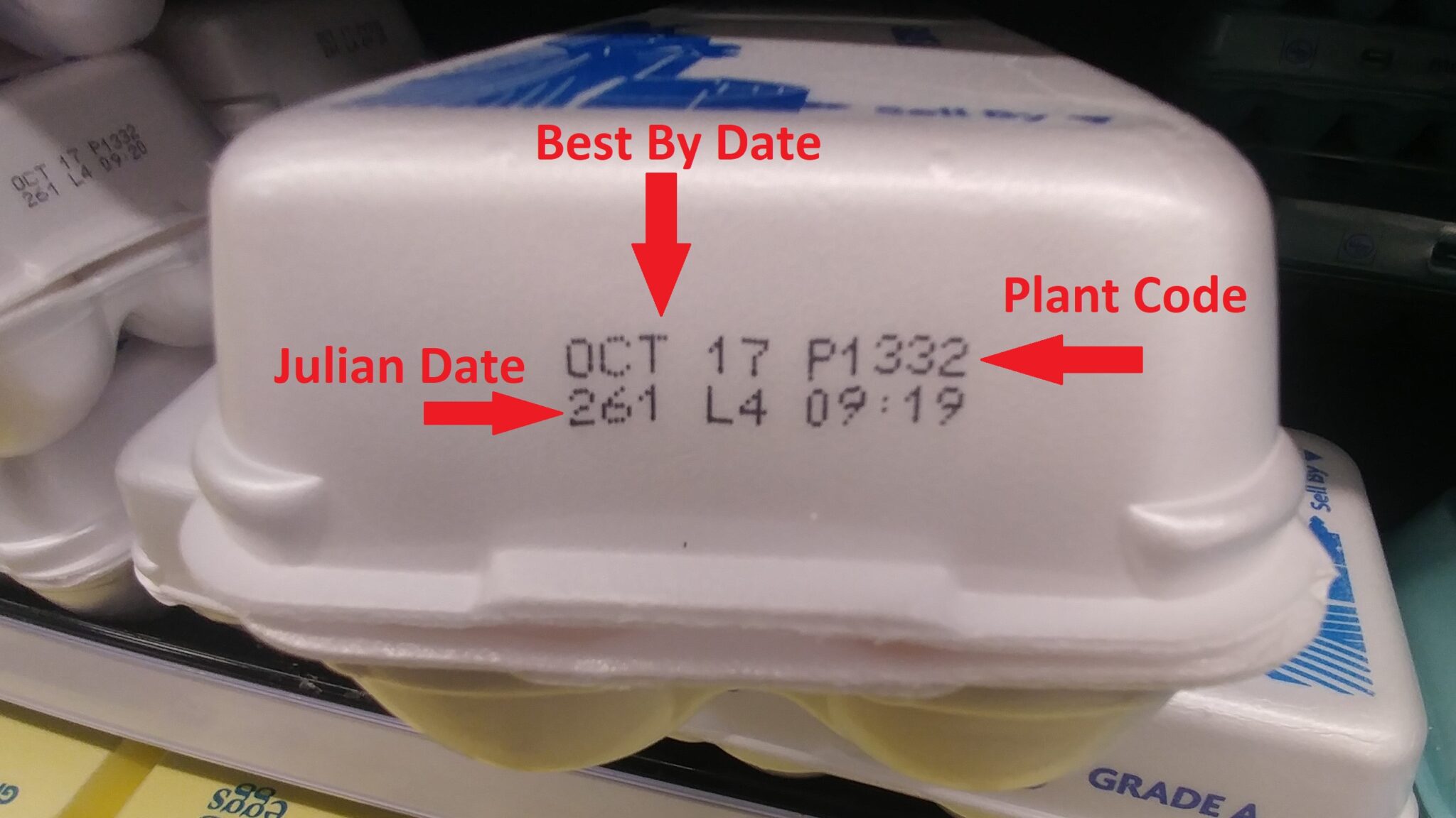Buying a Carton of Eggs? Get the Labeling Facts First Backyard Poultry